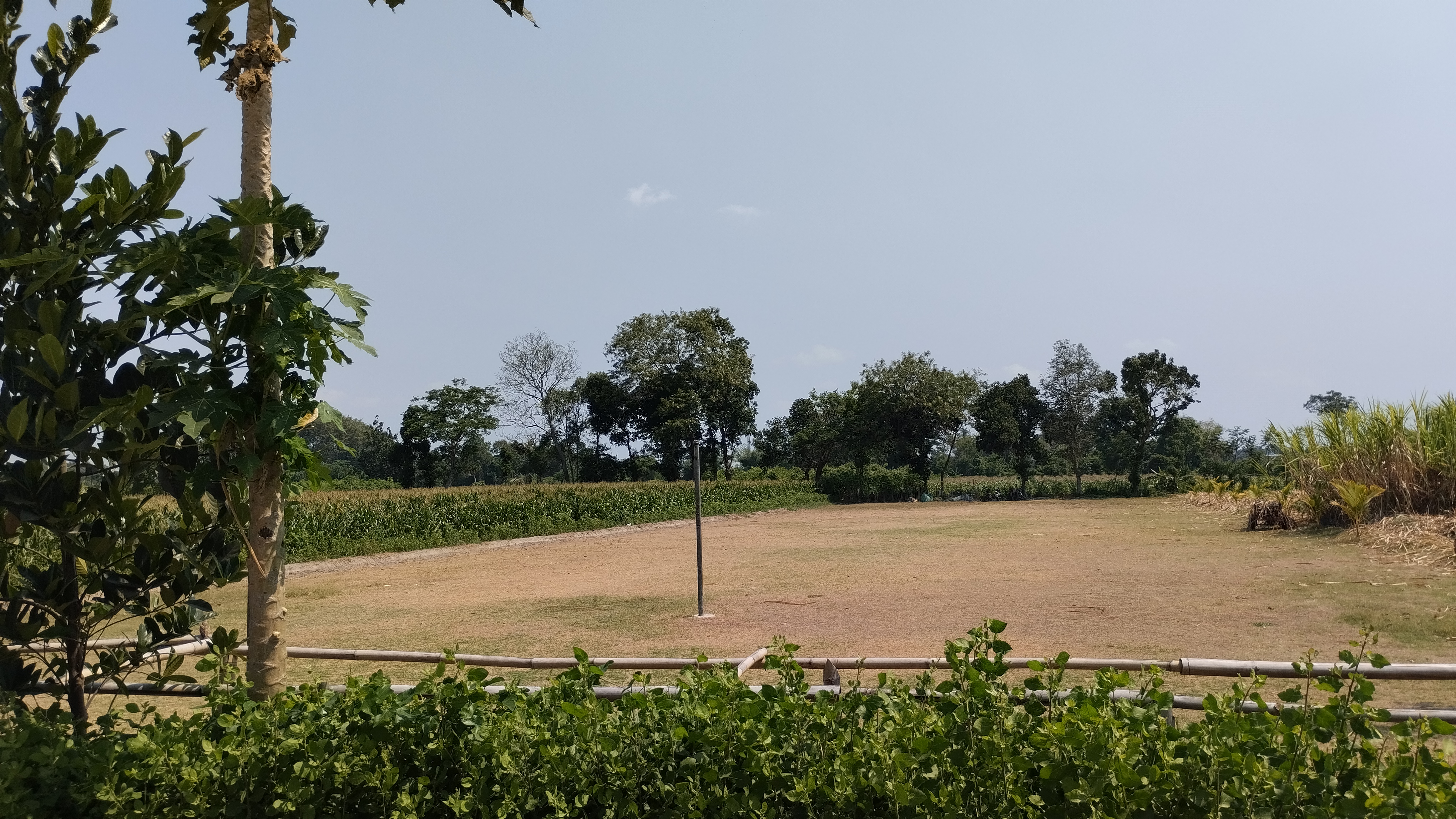 Lapangan
